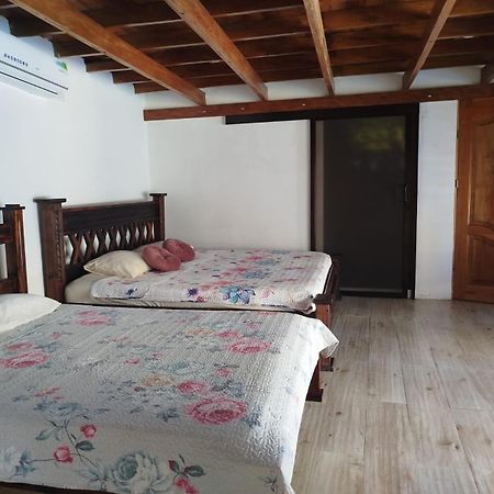 Hotel Liah'S Tortuguero Zewnętrze zdjęcie