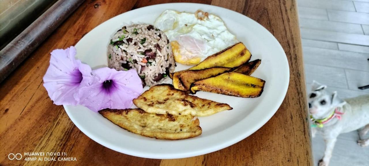 Hotel Liah'S Tortuguero Zewnętrze zdjęcie